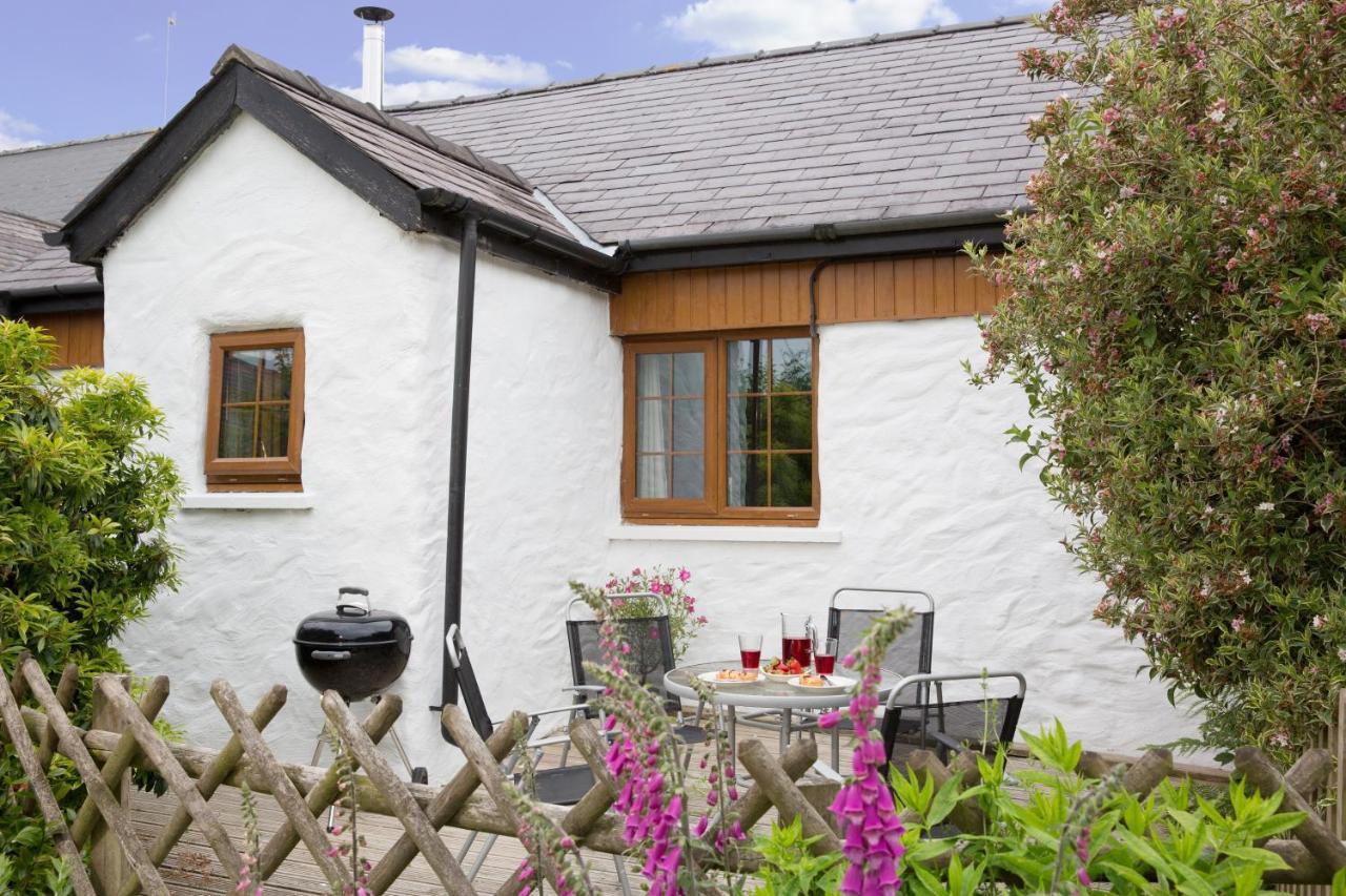 Croft Farm & Celtic Cottages Cardigan Exterior foto